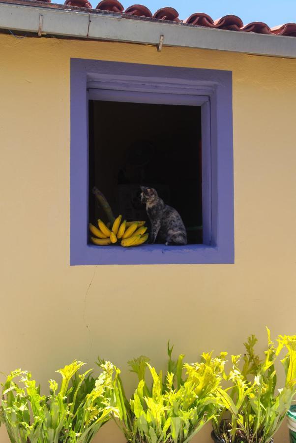 Calango Hostel Ibicoara Buitenkant foto